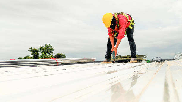 Best Steel Roofing  in Polk City, FL