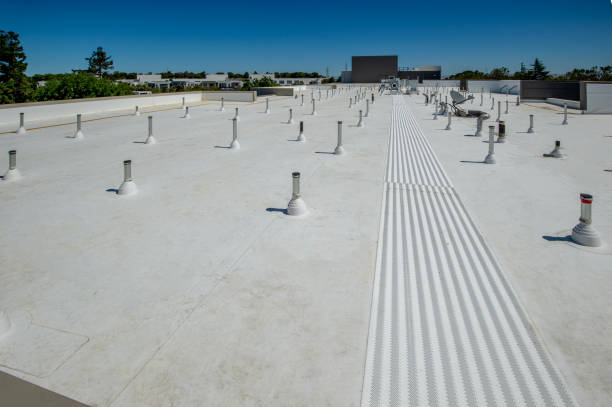 Best Roof Moss and Algae Removal  in Polk City, FL